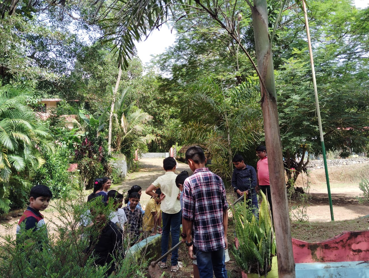 Environment day celebration